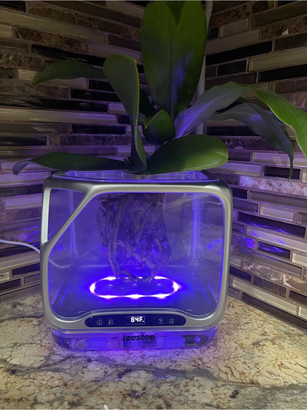 Silver Hydroponic Plant System with Blue LED